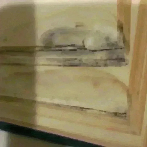 Vintage Good Housekeeping Cookbook READ - Picture 5 of 6